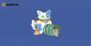 Database Cleaner Pro Plugin