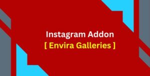 Instagram Addon  [ Envira Galleries ]