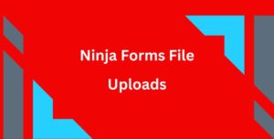 Ninja Forms File Uploads